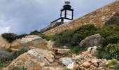 Trail Walking Calvi - Revellata  - Photo 1