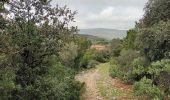 Tour Wandern La Valette-du-Var - Le Revest les Eaux-29-03-2023 - Photo 5