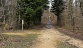 Trail Walking Touvre - Entre les sources de la Touvre et la forêt de bois blanc.  - Photo 8