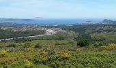 Excursión Senderismo Cassis - autour de la couronne de charlemagne - Photo 4