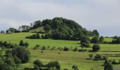 Tocht Te voet Poppenhausen - Poppenhausen - Rhön-Rundweg 4 - Photo 4