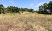 Tour Zu Fuß Unbekannt - Naturpfad Eberstadt - Photo 3