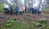 Trail Walking Fontainebleau - Belle-croix 27 janvier 2023  - Photo 12