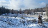 Randonnée Marche Tenneville - Laneuville aux bois 180124 - Photo 14