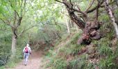 Randonnée Marche Chaudfontaine - bois des dames  - Photo 10