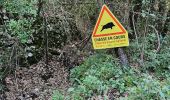 Trail Walking Cuers - Du col de la bigue vers le bas des barres de Cuers - Photo 7