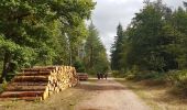 Trail Walking Alligny-en-Morvan -  Sélectionner un fichier .gpx .fit .tcx    Chessyca Trek Morvan 2020 : Journée 5/5 - D'Alligny en Morvan à Saulieu - Photo 4