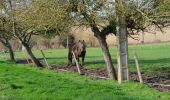 Tour Wandern Vesly - Vesly, Nainville, Le Chêne, Gisancourt, Dangu, Noyers - Photo 8