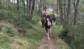 Trail Horseback riding Valle de Hecho - Siresa - Anso  - Photo 15