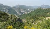 Trail Walking Trigance - Trigance-Rougon-Pt Sublime - Photo 16