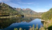 Tour Zu Fuß St. Wolfgang im Salzkammergut - Sattelweg - Photo 7