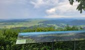 Tocht Stappen Blumberg - Cascade Schleifenbach et gorges de Wutach - Photo 13