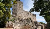 Excursión Senderismo Dambach-la-Ville - Sommets et rochers - Photo 19