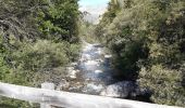 Randonnée Marche Réallon - Reallon le fort ,camping l'iscle, Vaucluse, - Photo 13