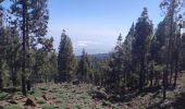 Randonnée Marche Vilaflor - Lunar Landscape Hike in Villaflor (Tenerife) - Photo 13