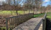 Trail Walking Hannut - La promenade de la Mouhagne  - Photo 9