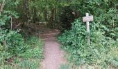 Trail Walking Écromagny - Ecromagny Rando réelle  - Photo 3
