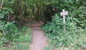 Tour Wandern Écromagny - Ecromagny Rando réelle  - Photo 3