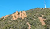 Tour Wandern Saint-Raphaël - Dent et Pic de l'Ours - Pic d'Aurelle depuis le Col de l'évêque  - Photo 14