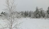 Trail Walking Spa - entre fagne et bois - version courte - Photo 10