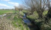 Excursión A pie South Somerset - Macmillan Way West - Photo 2