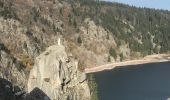 Tour Wandern Urbeis - Lac blanc lac noir musmiss  - Photo 11