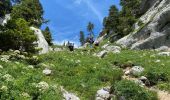 Tour Wandern Saint-Pierre-d'Entremont - La Croix de l’Alpe 10,7 km - Photo 6