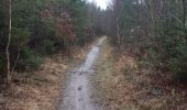 Trail Walking Verviers - mariomont - la gileppe aller via 