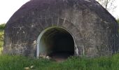 Tour Wandern Châlonvillars - Châlonvillars - le menhir - Genêchier - Mandrevillars - Buc - fort d'Essert  - Photo 17