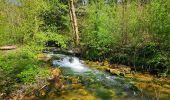 Trail Walking Houyet - Balade autour du Château de Vêves - Celles - Photo 16