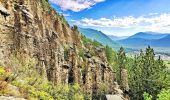 Randonnée Marche Remollon - Les Balcons de Remollon - Montagne des Assaillous - Photo 15