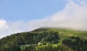 Tocht Te voet Bergün Filisur - Bahnerlebnisweg Albula - Photo 1