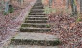 Excursión Senderismo Echternach - A travers les rochers du Luxembourg  - Photo 12