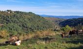 Randonnée Marche Faugères - Autour de Faugères  - Photo 2