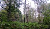 Percorso Marcia Seraing - les bois de l abbaye - Photo 17