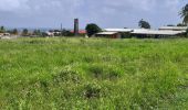 Tour Wandern Basse-Pointe - Boucle Habitations  Gradis et  Hackaert - Photo 5