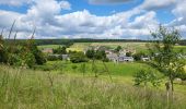 Trail Walking Havelange - Havelange 110624 - Photo 16