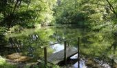 Tour Zu Fuß Hohen Viecheln - Niklot-Pfad - Photo 1