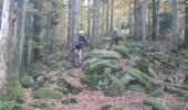 Trail Mountain bike Celles-sur-Plaine - sortie vtt du 24102019 celles sur plaine  - Photo 8