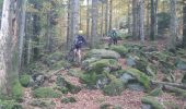 Tocht Mountainbike Celles-sur-Plaine - sortie vtt du 24102019 celles sur plaine  - Photo 8