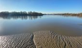 Tour Wandern Merchtem - GR126 : Merchtem - Mariekerke - Photo 14