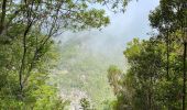 Tocht Stappen Santana - Levada  - Photo 5