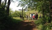 Percorso A piedi Arzignano - Sentiero Blu - Photo 6