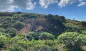 Tocht Stappen Frontera - Sabinosa - El Sabinar - Ermita Virgen de Los Reyes (El Hierro) - Photo 20