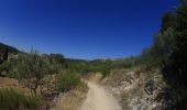 Trail Mountain bike Roussillon - activity_9127223319 - Photo 14