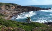 Tour Wandern La Trinité - Martinique pointe de la caravelle - Photo 4