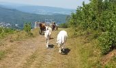 Tour Wandern Vielsalm - salmchateau - Photo 6