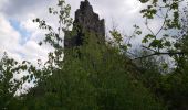 Percorso Marcia Bogny-sur-Meuse - sentier nature - Photo 1