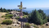 Tour Wandern Borne - croix de beauzon - Photo 2