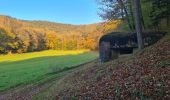 Tocht Stappen Windstein - Rando Maginot Windstein - Photo 8